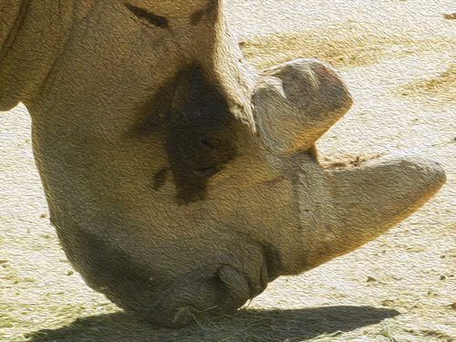 Item #95619151568614802974454947629602672965769746893472874508208249421986076295169 Media