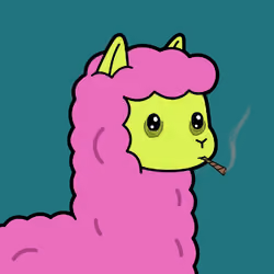 ALPACA FARM #26