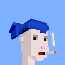 PunkVoxels #2638