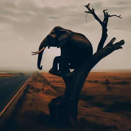 Item #82815519084113002922260269327512760861914865246283256413209248863063325540353 Media