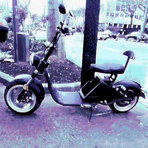 Item #115727291697093654400263464018852276952111209432831640319412176063837461544961 Media