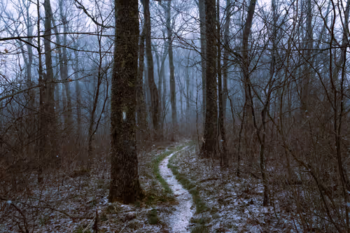 Item #27268559498061748325784621046965527840934976554079147599746578479252768817153 Media