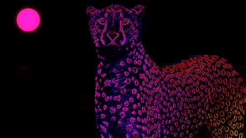 Item #44700177556079130579027571864789921161109844202338692374214745875560406188039 Media