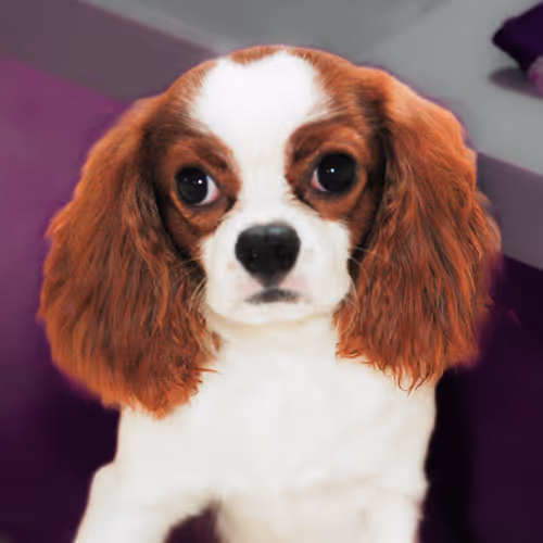 Item #52268251609148313723694636350380869011371331496130941392669190008417101545473 Media