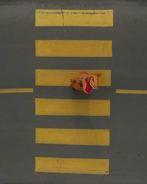 Item #100600280271040798317723628260513137156606623100883316454227272021014128623617 Media