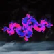 84622647086859907983508096466589007407902391726490363507235112162515094601729