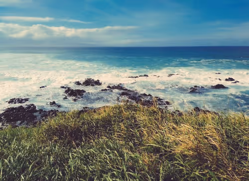 Item #41499236652340592734328289571973556148074028126370089423208509456983391207425 Media