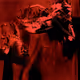 64055719848436045246023563378765257351467288704284091901648103165724985393153