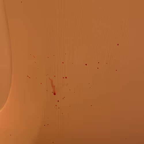 Untitled Collection #182553436