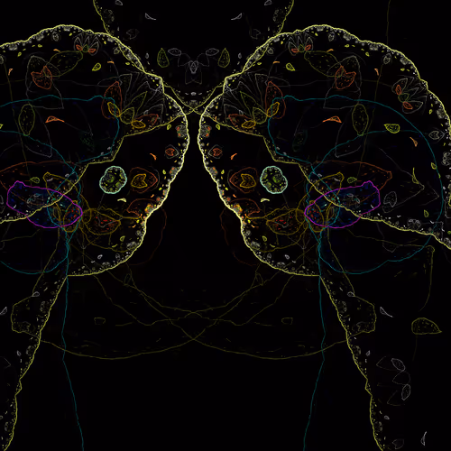 PandaMan88 Collection