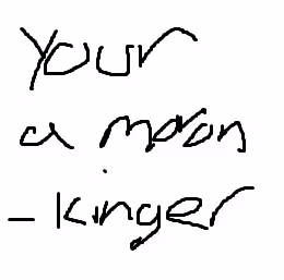 Your a moron