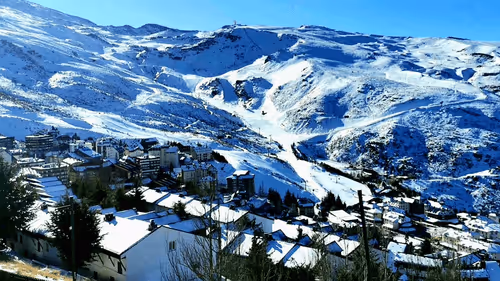 hernandez_ale991 Collection - old