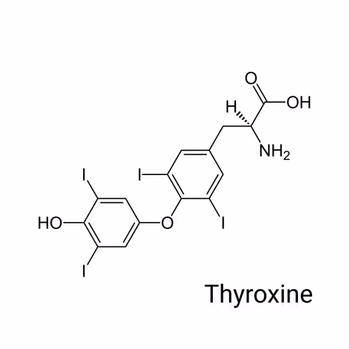 Item #64732396481221425237779336604136247156647002150051219445300180841433688702977 Media