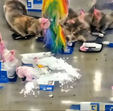 Item #78794071799748281156352621223251505797722242584587706613777371889427978125313 Media