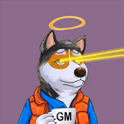 ShibeSociety #1075