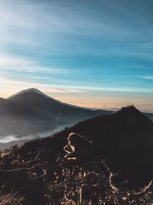 Item #25515833626908081611701494549020087998969426672532384426365967755458279112705 Media