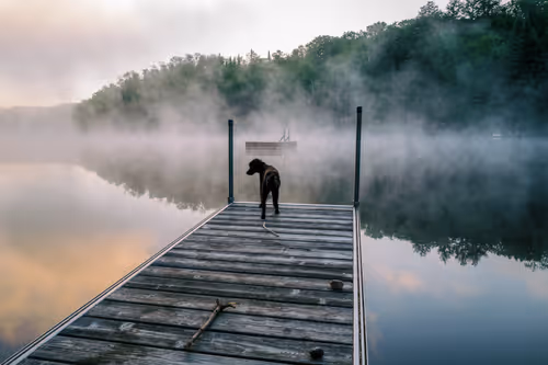 Item #109302203791697942327502980953418405223546737127648321337060482783086710358017 Media