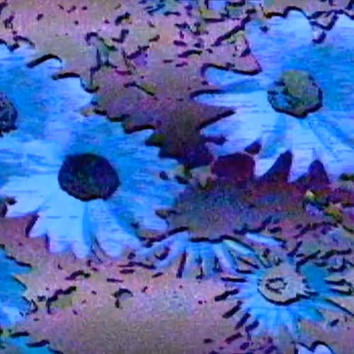 Analog Glitch 03 (Blooming)