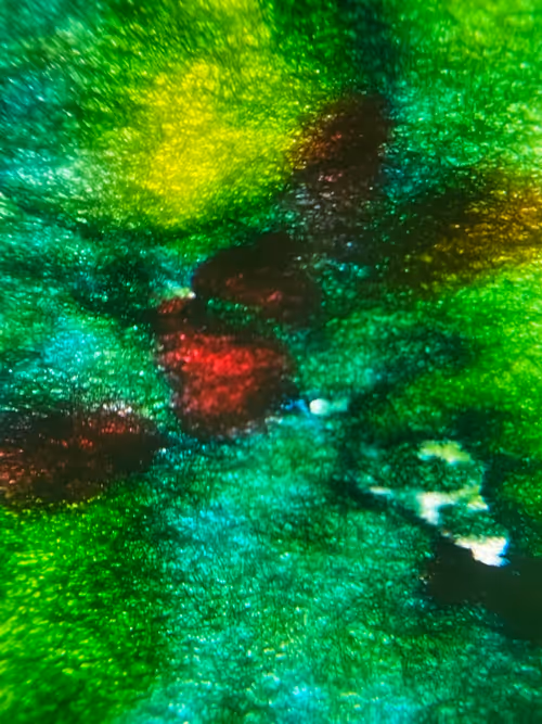 Item #51615793966845007466236624269492184351511549192803569430490019630668134219777 Media