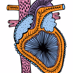 28824502245252267217549902857601847351510039266873569823091148235995690827777