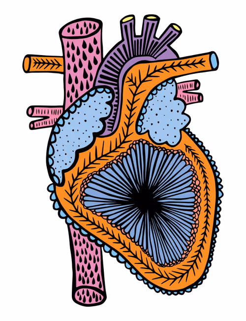 Item #28824502245252267217549902857601847351510039266873569823091148235995690827777 Media