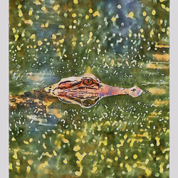 55704534837685659622621715309832868758345944585427688586690141455346273615873