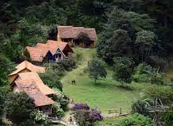 The village of ticks