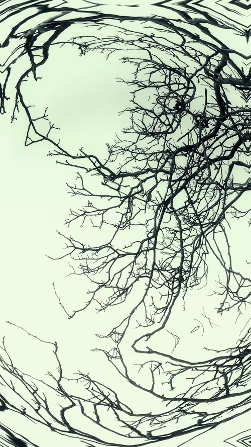 Item #24967146477419090921560663038626653354572651960968859782515528572492845154305 Media