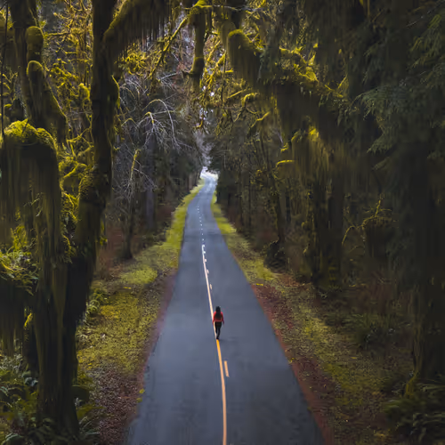 #07 - The Lonely Road