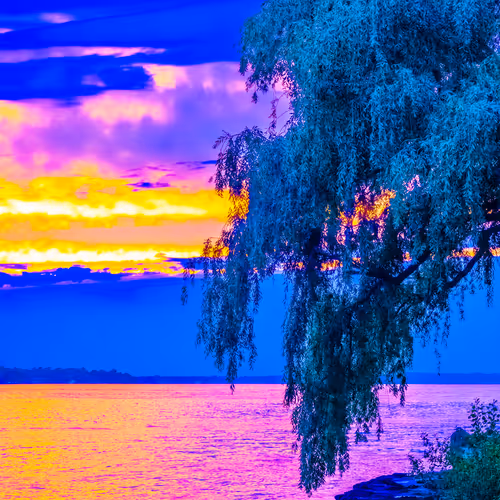 Item #35965218379738729691291467168286792303482134167127854404987491552600529043457 Media