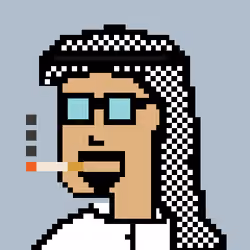 16096380372809226719538393447110584826767793811298259195768309348689764155393