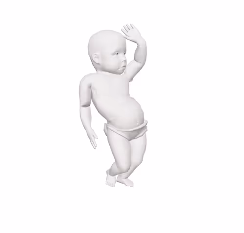 Happenings Collection