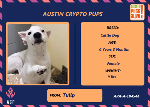 Item #17951378556605612276483806045649535824451571419947225201384628574423663771649 Media