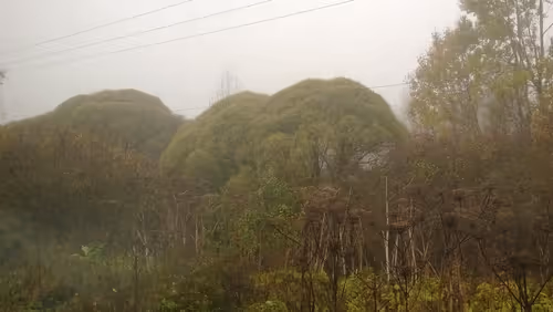 Item #52895557054077878382104802534352742176621658292506660955636510178669519437825 Media