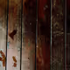 4462503084066989047942883155047034082840023704955301792166470086468105666561