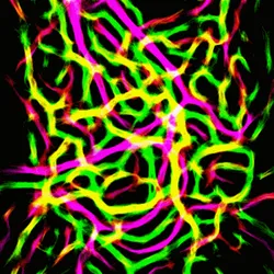 51929734946411346289540790635765095060363125039145709683616697083689938452481