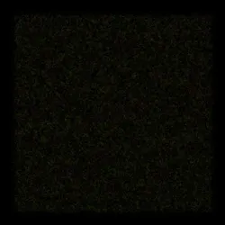 Physarum #055