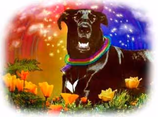 Lola In The Flowers