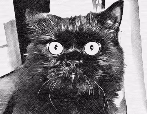 28832396858735874319158901426564778334177353019717768460635676437275440316421