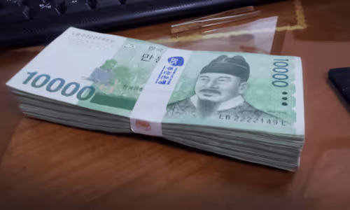 sundayproject Collection