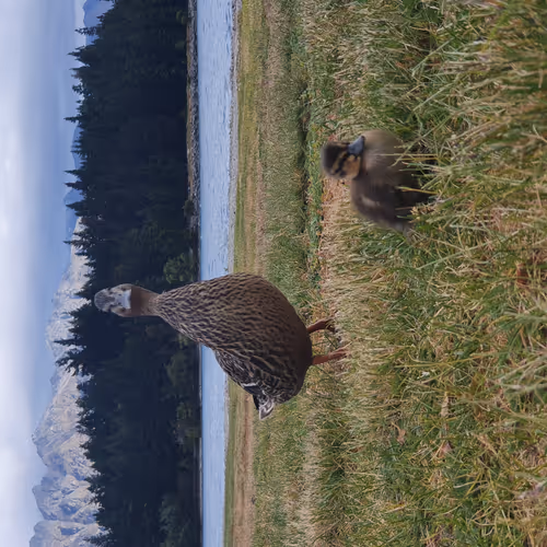 Untitled Collection #55276834