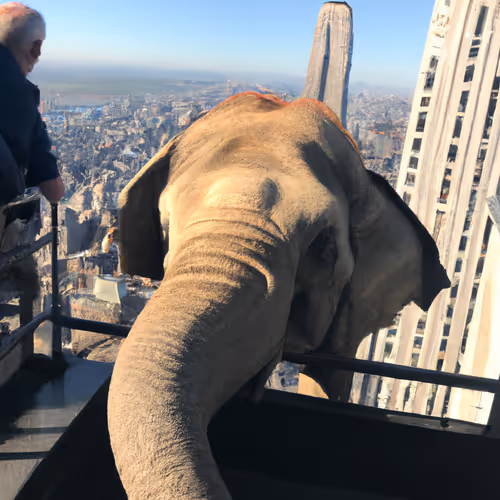 Item #51456710505504250023568229136551797202154633129859115353536250415420362719233 Media