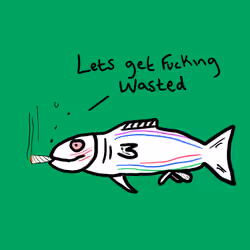 Spliffy Salmon