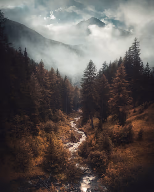 Item #134489906944514601836567189437532879130233761745768622289177292095526797313 Media