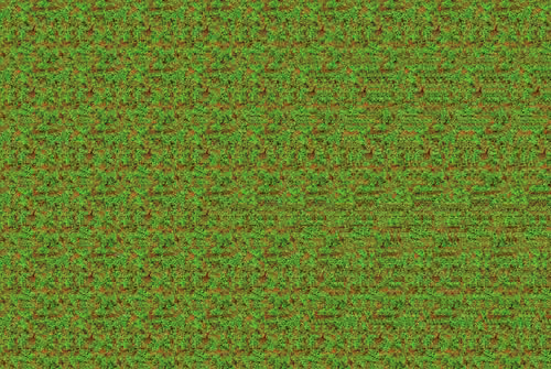 F-004
