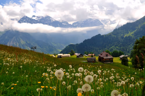 Item #92971587401879212914465603849674525645265351012255145539777938634492000337923 Media