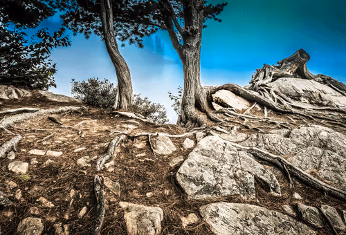 Item #78614967916850878758896281278088562819031429561597845143063368060781851574273 Media