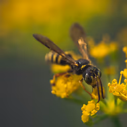 105090597216655980557633683149084672751347825439893935605656298043010097086465