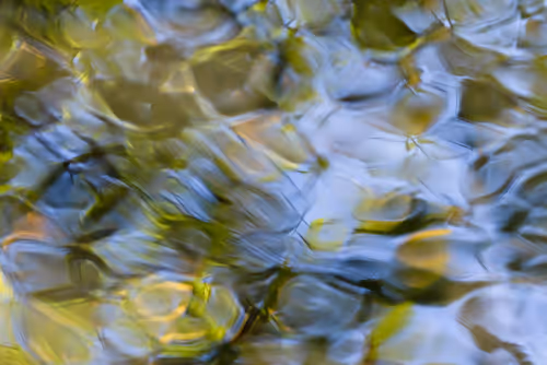 Item #81441334517361708208394031135700195474624799851237506988747108147017132539905 Media