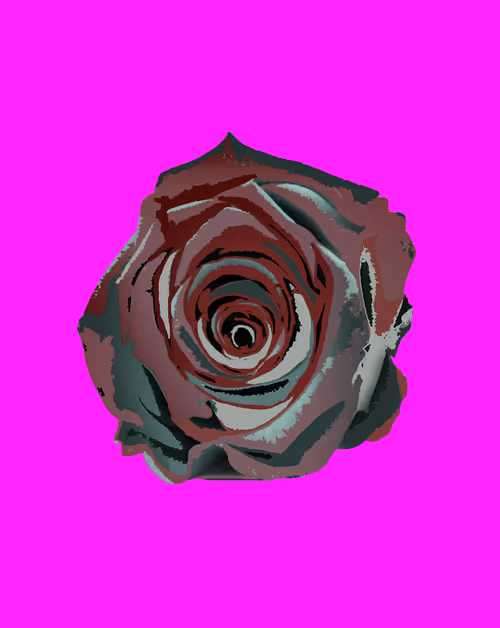 Item #81456042624357434202328939873654772461985486531984512622601373484500366917642 Media